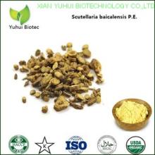 baicalin 85%,pure natural baicalin,baikal skullcap extract baicalin,98% baicalin