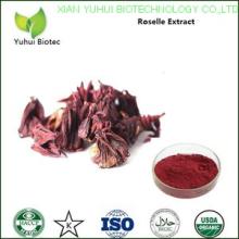 hibiscus flower supplement, hibiscus  extract  benefits,hibiscus  extract   capsules 