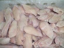 Halal Certified Frozen Chicken Breasts from Brazil
