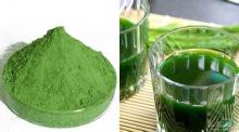 100% natural  Wheat   grass  powder,Organic  Wheat   Grass  powder,High quality  Wheat  grass  Powder