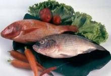 Tilapia (oreochromis niloticus tilapia nilotica)