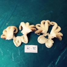 Cooked baby octopus
