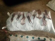 Dried black squid