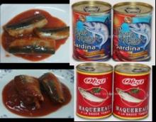 Canned sardine in tomato sauce or brine