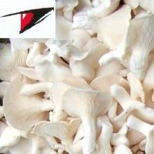  White  oyster  mushroom  in  brine 