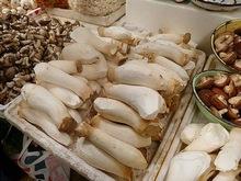 Fresh  King   Oyster   Mushroom 