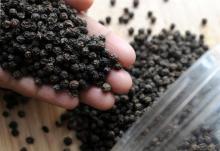 Black Pepper