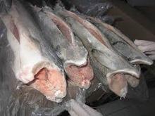  Fresh /  Frozen   Salmon  Fish Top Quality