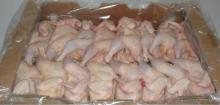 GRADE A HALAL CERTIFIED  FROZEN  WHOLE CHICKEN  READY  FOR SHIPMENT.