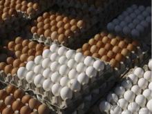  Farm   Fresh   chicken  egg white and brown size 40g-50g-60g-65g-70g
