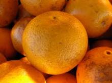 FRESH VALENCIA/NAVEL ORANGES FROM SOUTH AFRICA