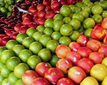 Fresh  Citrus   Fruit s, Fresh Mandarin Oranges, Valencia Oranges & Lemons High Quality.