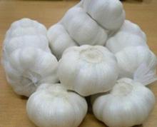 PURELY WHITE FRESH GALICS