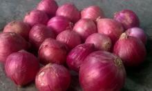 Round  fresh   red   onion s  fresh  cheap  onion 