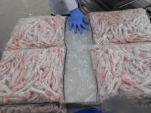 Clean Fresh Frozen Chicken Feet