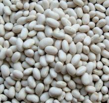 Kidney Beans,Chickpeas,Lentil,Alfalfa Beans