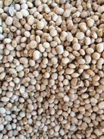  Pigeon   Peas  or Toor Dal Whole