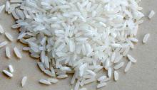  Long   Grain   Parboiled   Rice  5% Broken!!!