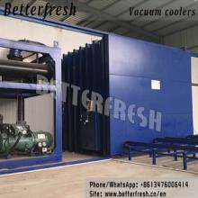 Agriculture leafy vegetable Vacuum cooling machine fast cooler Germany technology