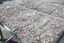 Halal Frozen Chicken Paws Brazil/Frozen Chicken Feet /Chicken wings