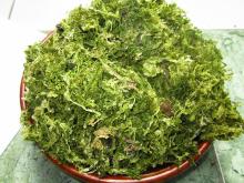 VIETNAM ORGANIC GREEN SEAWEED- ULVA LACTUCA