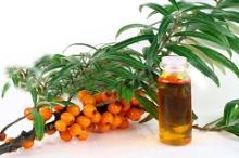 GMP Approved Natural and Pure Seabuckthorn Seed Oil