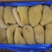 Honey Comb Tripe
