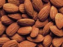 Bitter Apricot Seed Extract