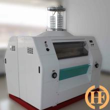 Mozambique 10-100T Corn maize flour milling machine