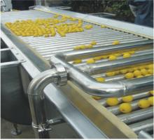 fruit grading machine