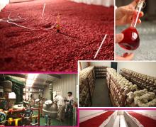Natural Lovastatine Powder