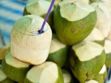 Fresh coconuts