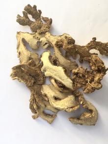  Dried   Ginger   Split s