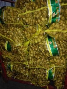 Best quality of  fresh   ginger 
