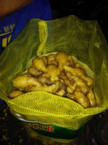 Best quality of fresh ginger-20kg mesh bag+2kg