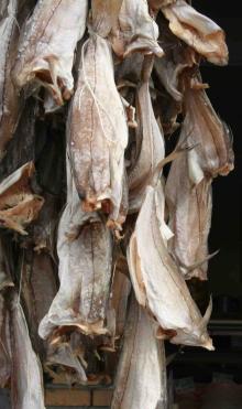 Dried  haddock   Fish 