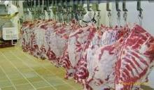 FINEST PORK MEAT