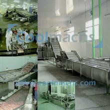 Shrimp IQF frozen line equipment