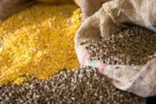 Wholesale animal feed/ Corn silage/ Corn gluten meal 60% for animal feed