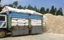 Tapioca Chip/Cassava Chip for Animal feed and Alcohol In  Bulk 