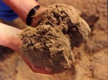 Meal ,Meat and Bone Meal Protein 45% To 52% , Fish Meal at cheap prices