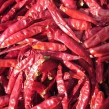 Quality Dry Red Chilli Pepper with Best Price /DRY RED CHILLI WITH STEM