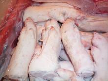  Frozen   Pork   Front   Feet 