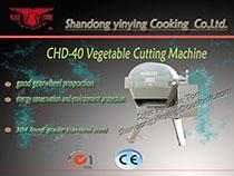 CHD40  multi - function al vegetable cutter