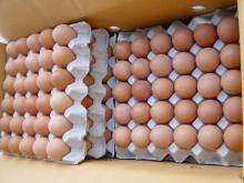 High Quality Fresh Table Chicken Egg White and Brown S