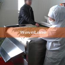 High Efficiency Microwave Cashew Kernel Drying Machine
