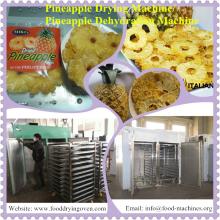 Hot Air Pineapple Drying Machine