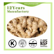 Gingerols 5% / Gingerols 10%Ginger  Extract   Herb   Extract 