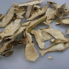 Factory Price Bulk Dried Boletus Luteus Mushroom Slices in Different Grades