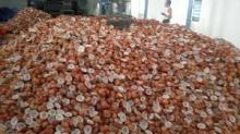 Copra Meal Or Coconut Meal